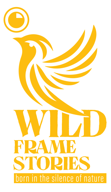 Wild Frame Stories